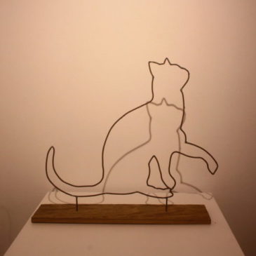 “cat playing with shadow”