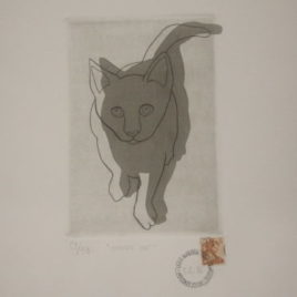 “moving cat”