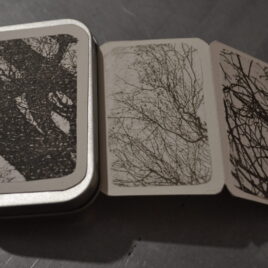 gli abbracci degli alberi # 4