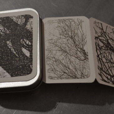 gli abbracci degli alberi # 4