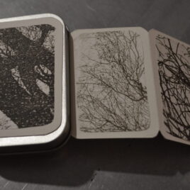 gli abbracci degli alberi # 4