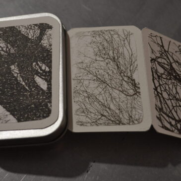 gli abbracci degli alberi # 4