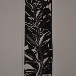 vegetation