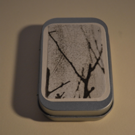 gli abbracci degli alberi # 11