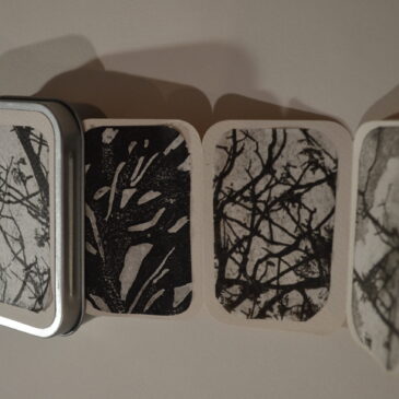 gli abbracci degli alberi # 5